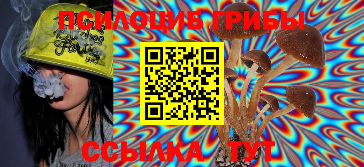 Радужный  Псилоцибиновые грибы Psilocybine cubensis  Псилоцибиновые грибы GOLDEN TEACHER  Вход с VPN 