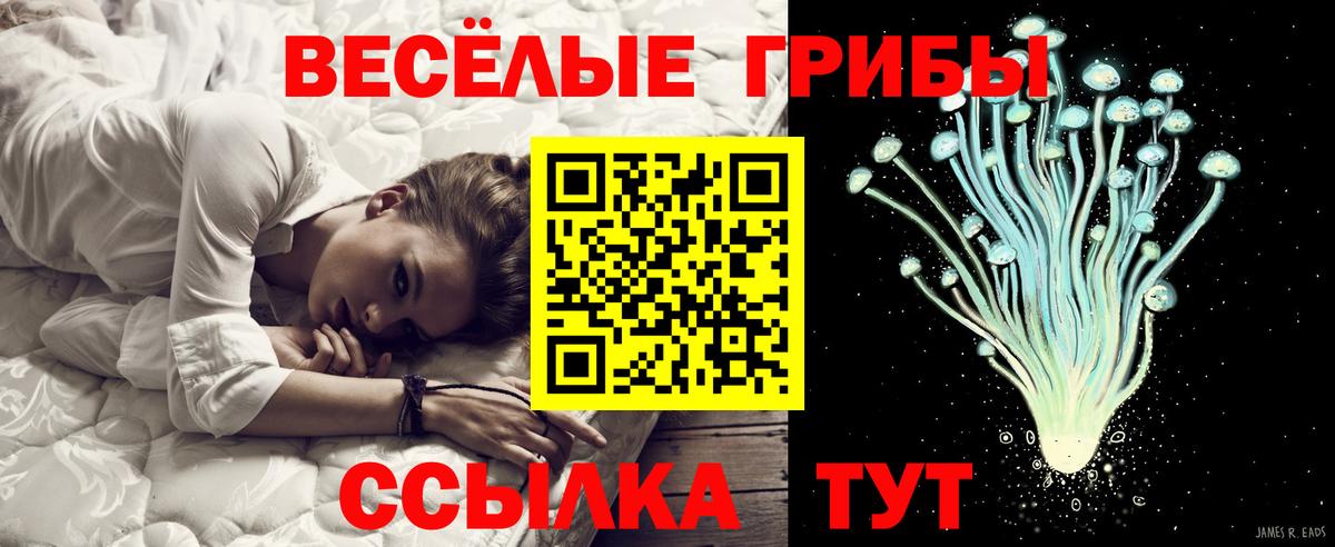 Псилоцибиновые грибы прущие грибы Радужный